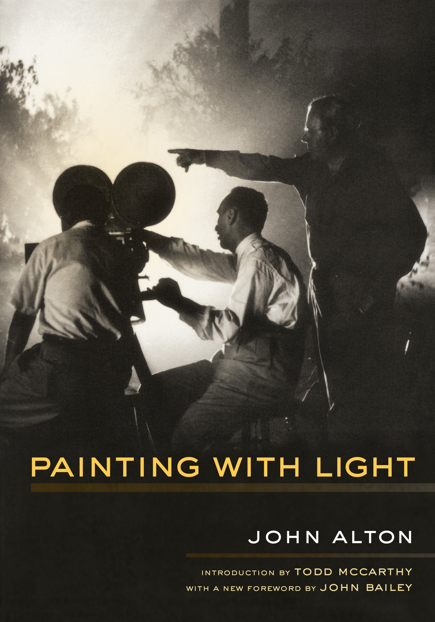 Cover image for Painting With Light ISBN 9780520355934